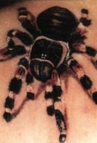 skulder realistisk tarantula edderkopp tatoveringsmønster
