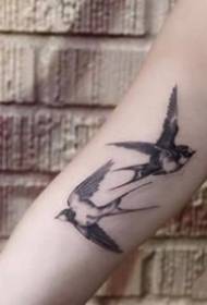 добра група на едноставни слики за тетоважа со ластовица