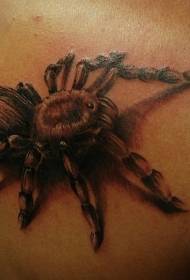 back beautiful realistic spider tattoo pattern