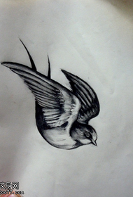 Black Gray Sketch Swallow Tattoo Manuscript Picture