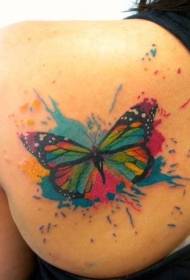 Back watercolor butterfly tattoo pateni