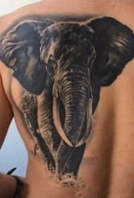 domineering male elephant tattoo pattern 9