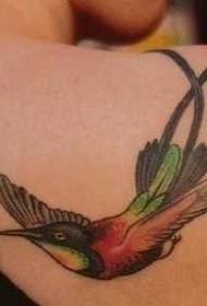 Shoulder Swallow Tattoo Pattern