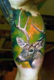 Veľký muž realistické farby jeleň hlavy tetovanie vzor