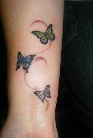 Tri rôzne motýle motýľov
