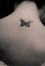 Modeli i tatuazhit të fluturave të fluturave