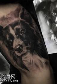 blauzdos šuo Tatuiruotės modelis
