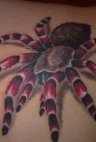 shoulder color red leg hair spider tattoo pattern