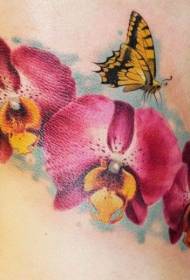 Fantastic Phalaenopsis Flowers жана Желтая рыба бабочка тату Үлгү