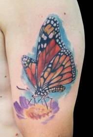 Красивая татуировка бабочка и цветок