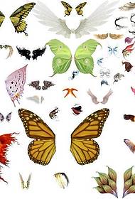 Itakda ang mga pattern ng manuskrito ng butterfly tattoo