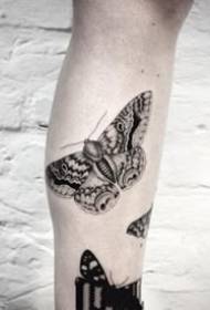 Një grup i thjeshtë fotografish tatuazhesh me flutur të zi për tu shijuar