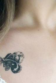 Дівчина під ключицею чорна лінія ескіз красиві татуювання метелик малюнок