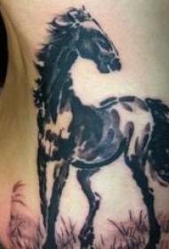 Side rib Asian style black horse tattoo pattern