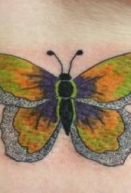 Žlté a strieborné motýľové tetovanie