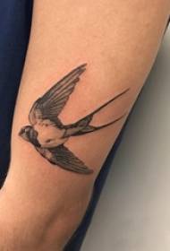 Girl's arm on the black gray sketch point thorn trick creative swallow tattoo picture