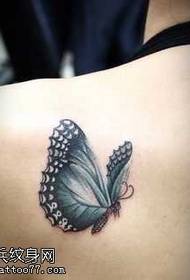 Wzór tatuażu biały motyl na ramionach