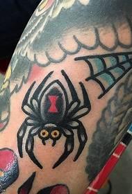 janm lank modèl tatoi Spider lank