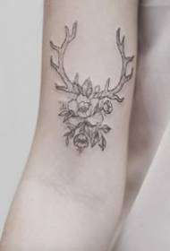 9 zvidimbu zvetato tattoo zvine hunyanzvi antler deer musoro
