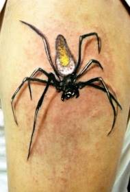 Modello di tatuaggio del ragno piccolo braccio addominale