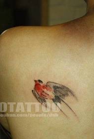 Small fresh color bird tattoo works