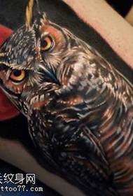 Leg classic realistic owl tattoo pattern