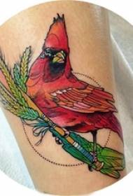 Jentas kalvmalte planter blader og fugler tatoveringsbilder