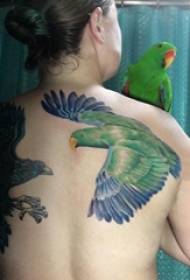 Tyttö takaisin maalattu kaltevuus yksinkertainen linja pieni eläin papukaija tatuointi kuva