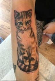 Lány kar fekete szürke vázlat aranyos álló cica tetoválás minta