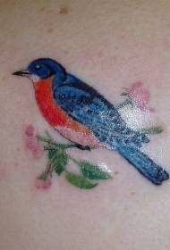 Realistické realistické barevné ptačí tetování vzor