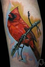 Akvarel roztomilý červený pták tetování vzor