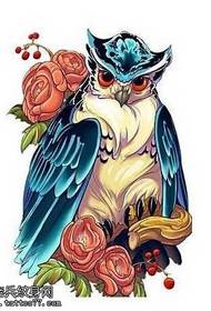Manuscript color owl tattoo pattern
