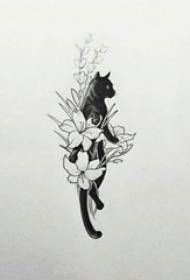 بلی ٹیٹو کے مخطوطہ چھوٹا تازہ پھول اور بلی ٹیٹو کا مخطوطہ