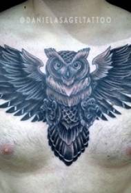 Chipfuva chevakomana pane nhema grey sketch point yeminzwa trick yekugadzira domineering owl tattoo pikicha