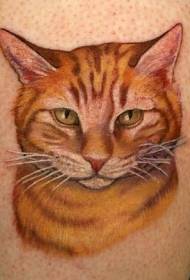 Glamorous color realistic cat tattoo pattern