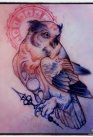 Owl with vanilla flower tattoo pattern manuscript