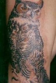 Realističan uzorak tetovaže sove