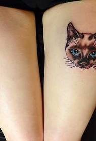Pátrún tattoo cat cos