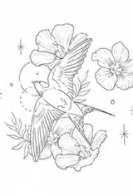 Le linee astratte nere di personalità piantano fiori e manoscritto del tatuaggio dell'uccello
