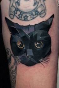 Katthema-set fan 9 ûntwerpen foar tatoeëring fan katten
