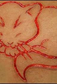 Simpatična uspavana mačka je razrezala vzorec tatoo za meso