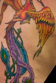Phoenix pták a náhrdelník malované tetování vzor