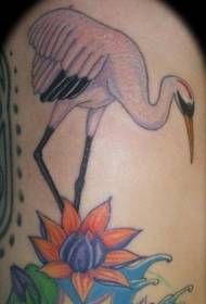Colored water lily and red-crowned crane tattoo pattern