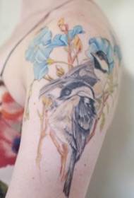 O brazo da escola pintado en liñas simples de gradiente con flores de plantas e fotos de tatuaxes de aves