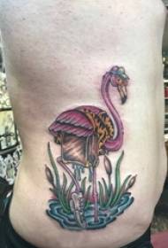 男生侧腰上彩绘简单线条植物和小动物火烈鸟纹身图片