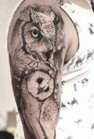 Set of black gray style owl tattoo pictures