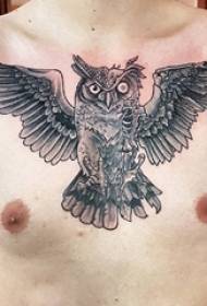Boy chest black dot thorn simple line personality small animal owl tattoo illustration
