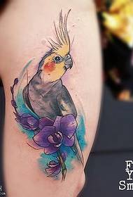 Leg watercolored woodpecker tattoo pattern