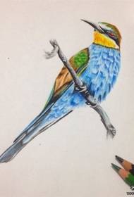 Европейски и американски цвят ръкопис за татуировка на училище за птици