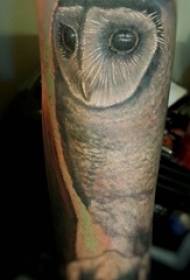 Photo de tatouage de petit hibou de petit veau garçon noir